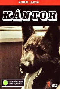 Kántor
